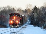 CN 4773 leads 559